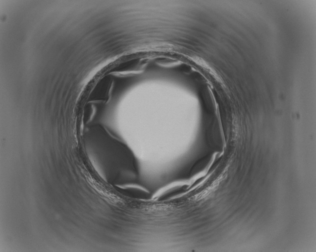 X0000074260830200609151759