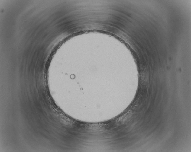 X0000074260832200609151759