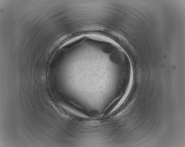 X0000074260833200609151759