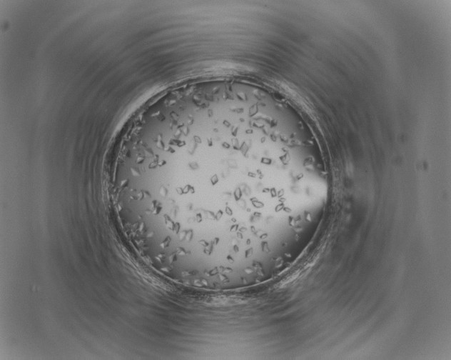 X0000074260835200609151759