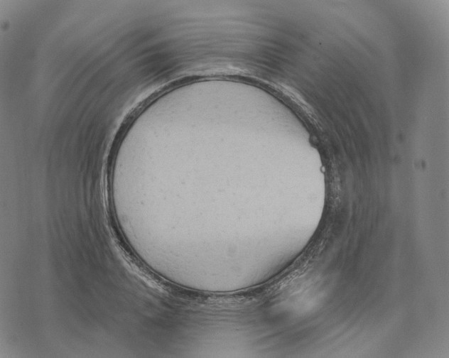 X0000074260840200609151759