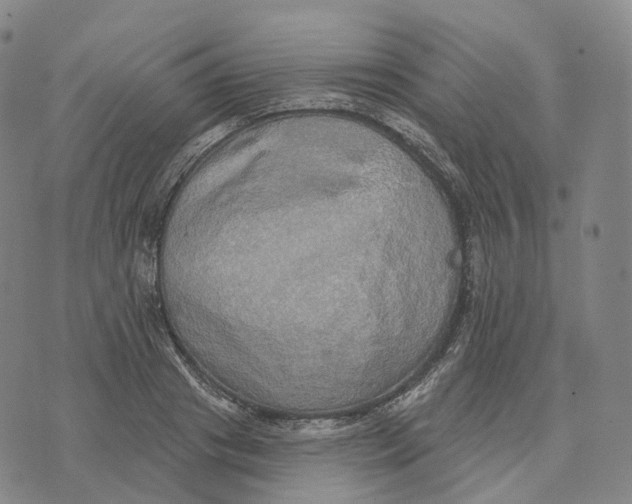 X0000074260841200609151759