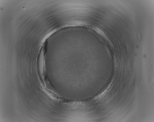 X0000074260842200609151759