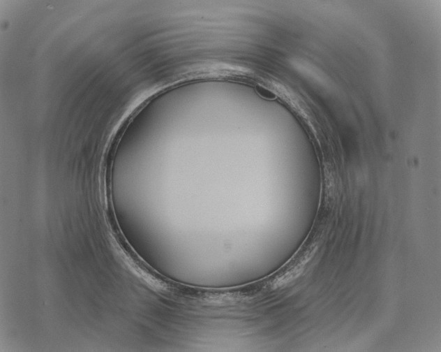 X0000074260843200609151759