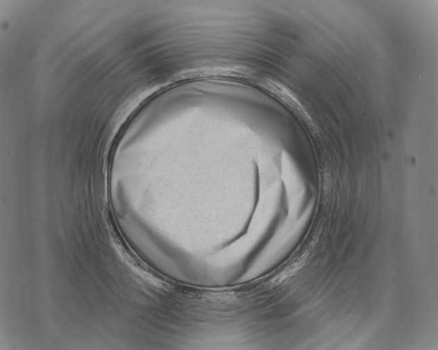 X0000074260844200609151759