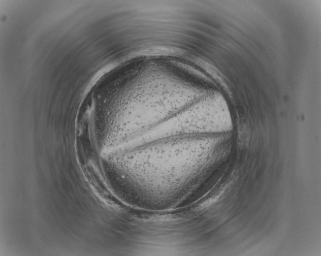 X0000074260845200609151759