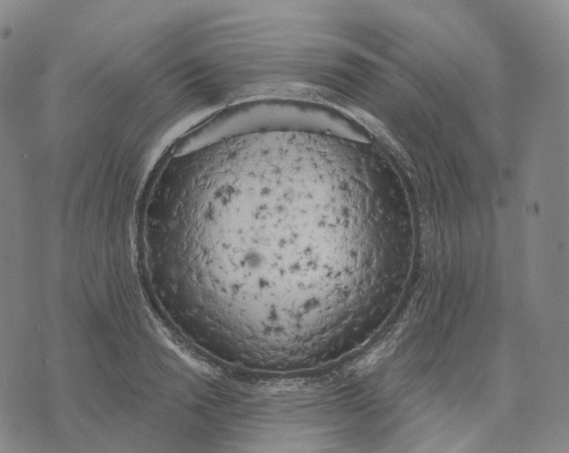 X0000074260846200609151759