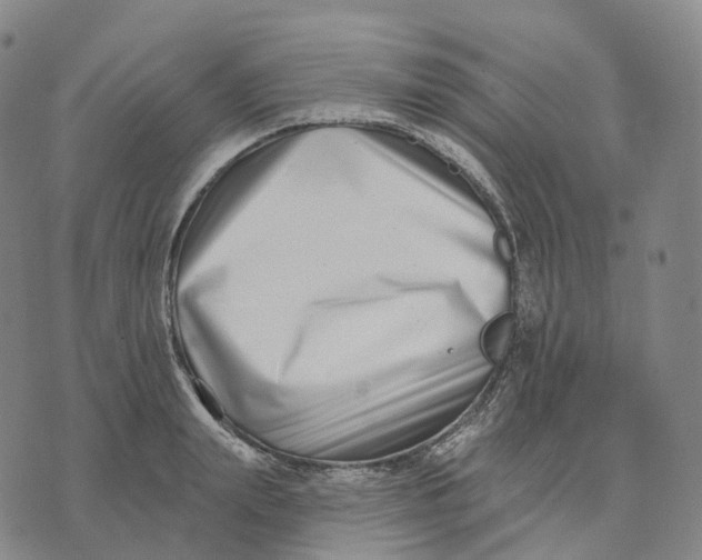 X0000074260847200609151759