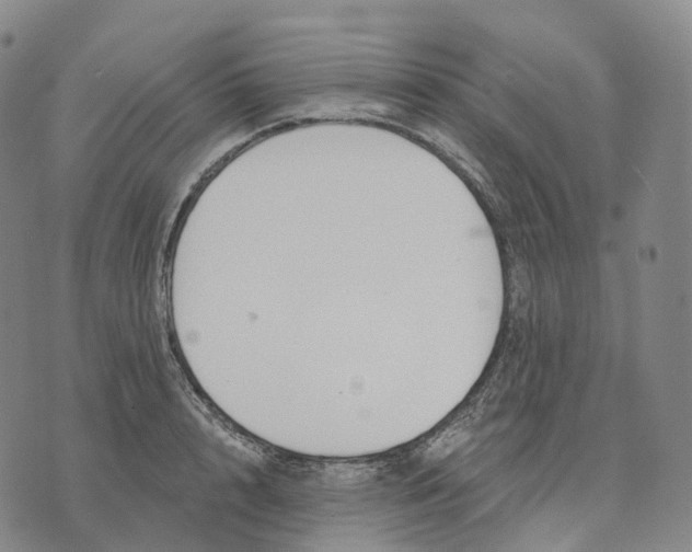 X0000074260848200609151759