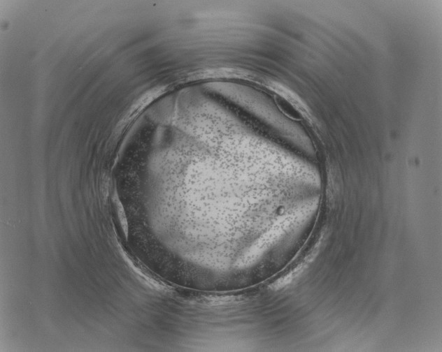 X0000074260849200609151759