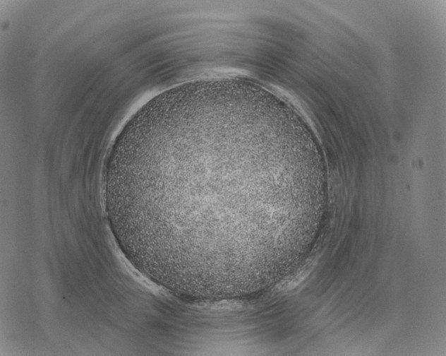 X0000074260851200609151759