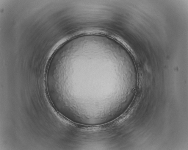 X0000074260853200609151759