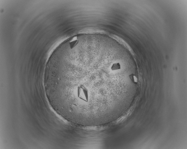 X0000074260855200609151759