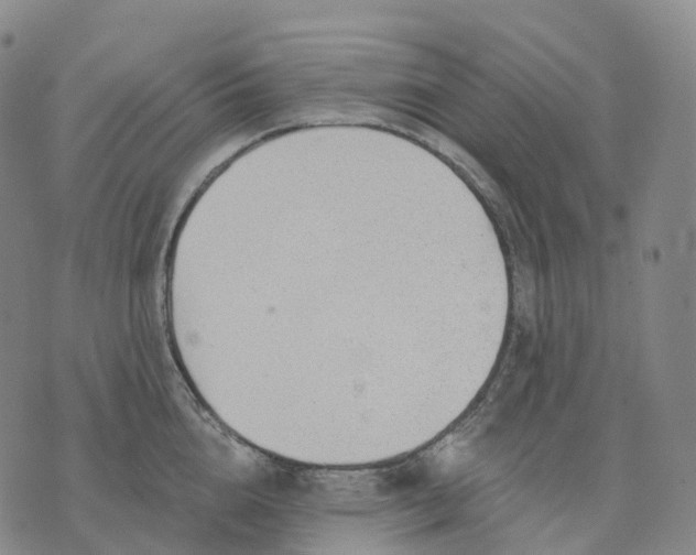 X0000074260856200609151759