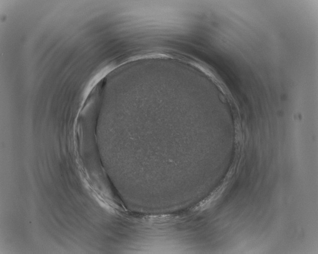 X0000074260858200609151759