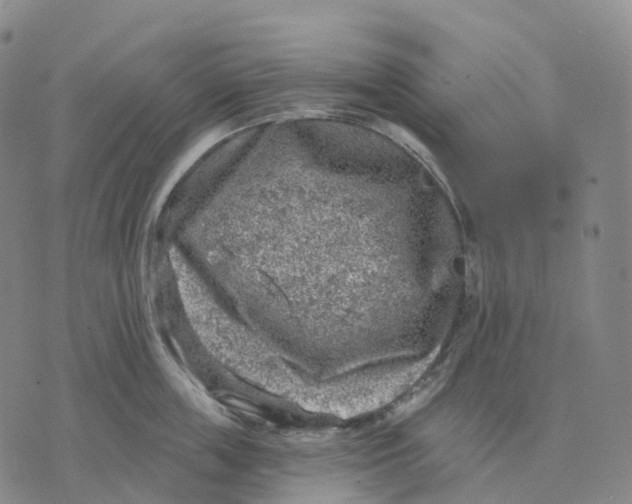 X0000074260859200609151759