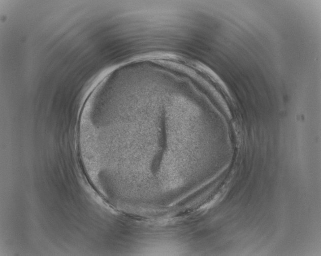 X0000074260860200609151759