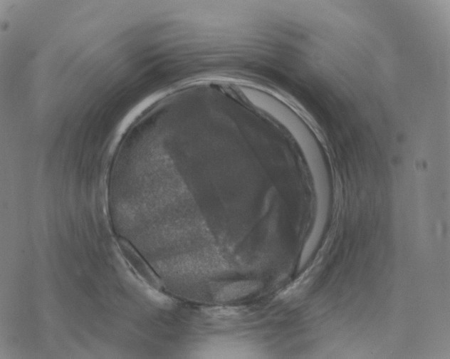 X0000074260862200609151759