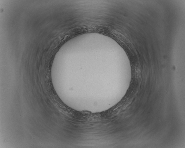 X0000074260865200609151759