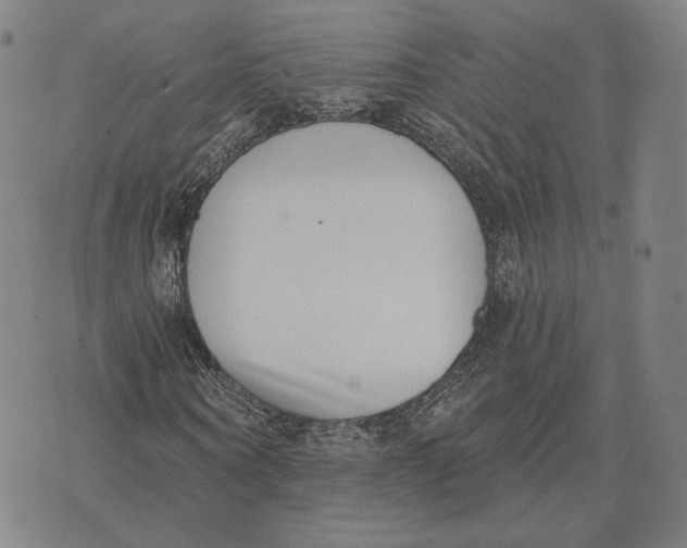 X0000074260866200609151759