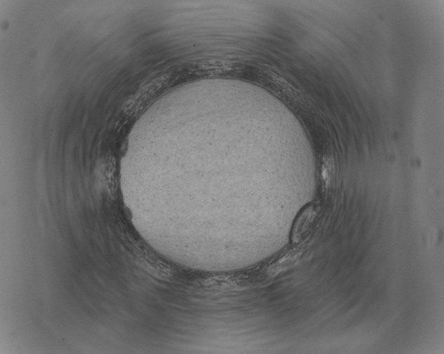 X0000074260867200609151759