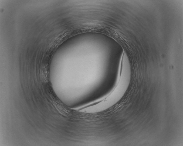 X0000074260868200609151759