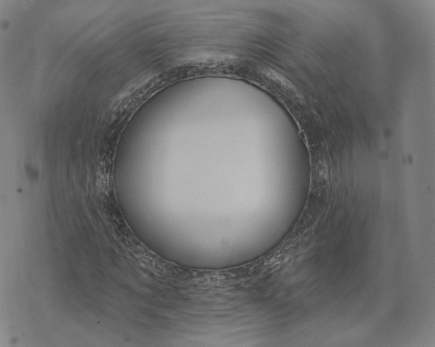 X0000074260869200609151759