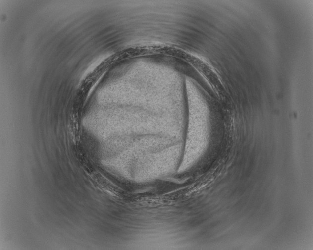 X0000074260871200609151759