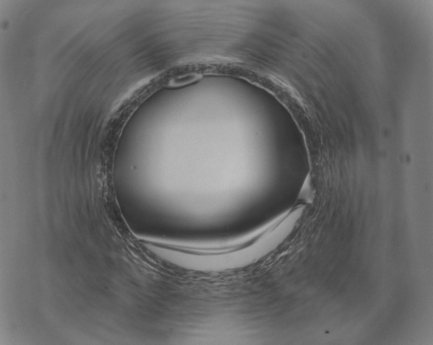 X0000074260872200609151759