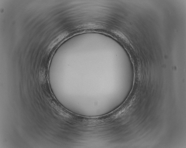 X0000074260873200609151759