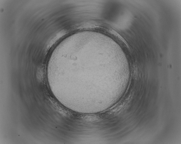 X0000074260874200609151759