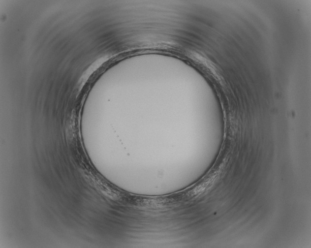 X0000074260875200609151759