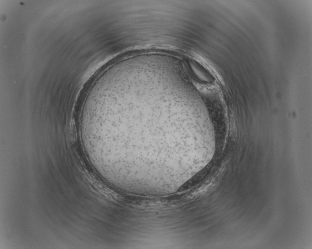 X0000074260876200609151759