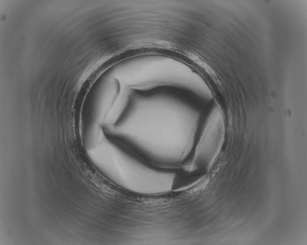 X0000074260877200609151759