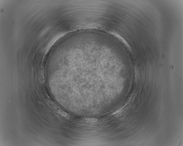 X0000074260878200609151759