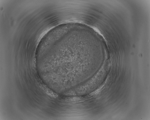 X0000074260879200609151758