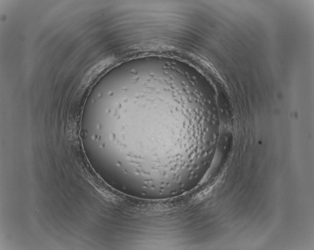 X0000074260881200609151758