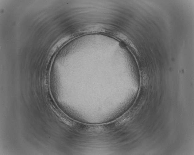 X0000074260882200609151758