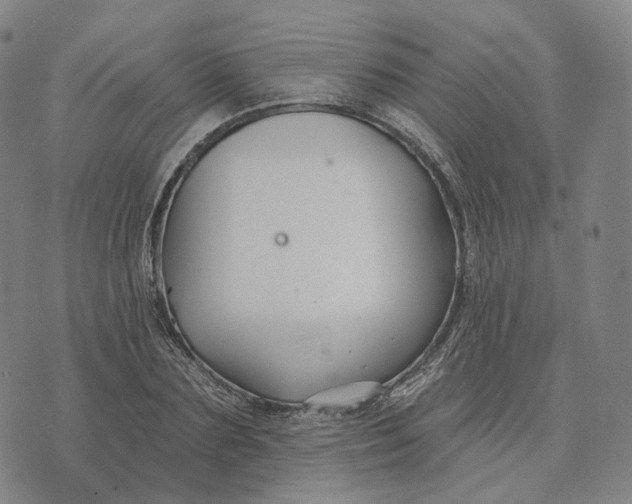 X0000074260883200609151758