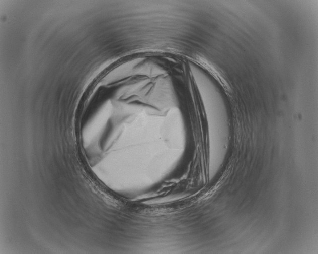 X0000074260884200609151758