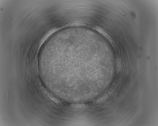 X0000074260886200609151758