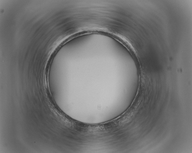 X0000074260887200609151758