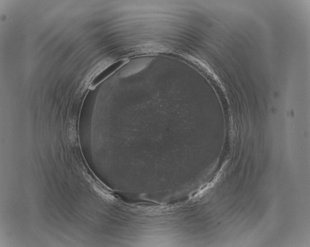 X0000074260889200609151758