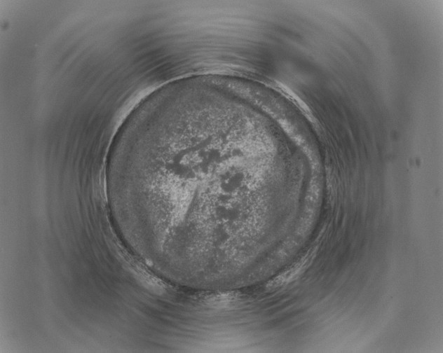 X0000074260891200609151758