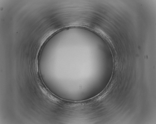 X0000074260892200609151758