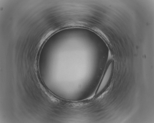 X0000074260893200609151758