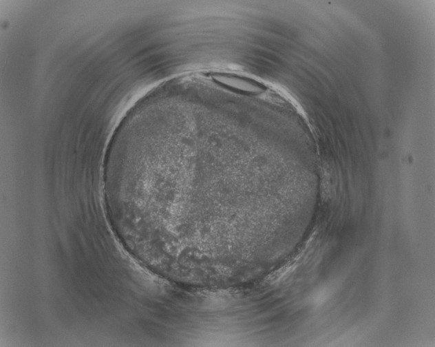 X0000074260895200609151758