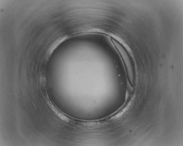 X0000074260897200609151758