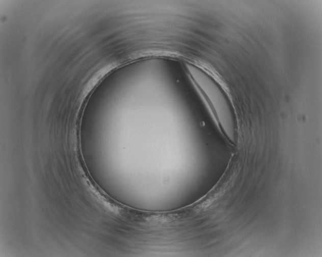 X0000074260898200609151758