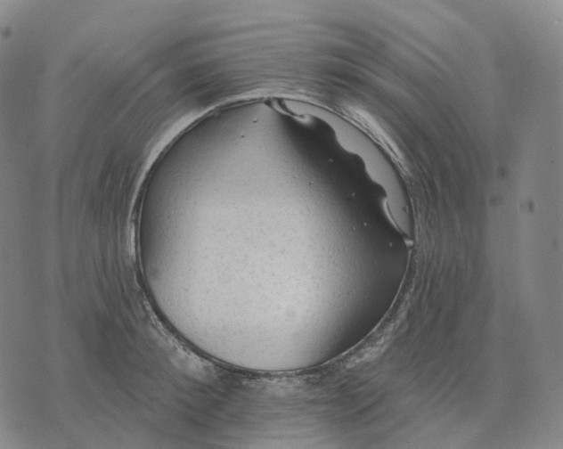 X0000074260900200609151758